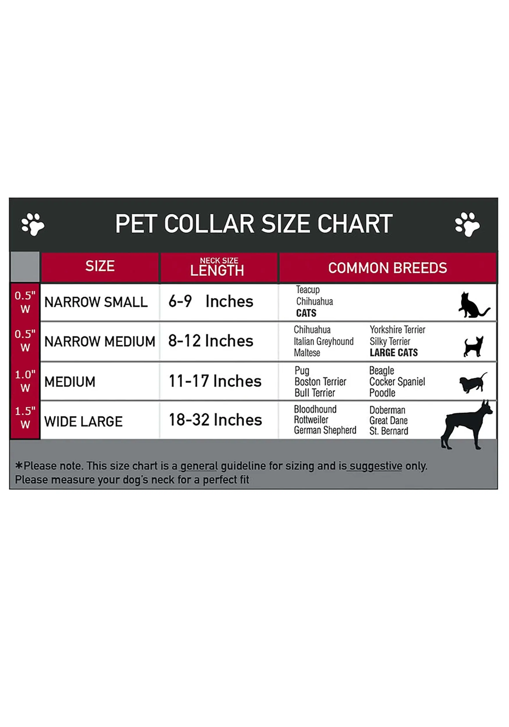 Buckle-Down Springwood High Freddy Krueger Pet Collar 3 Buckle-Down Springwood High Freddy Krueger Pet Collar - Image 3