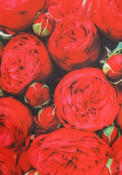 Elope Adult Bouquet Of Roses Sandwich Board Costume 8 Elope Adult Bouquet Of Roses Sandwich Board Costume -Cheap Anna Costumes Store bouquet of roses sandwich board costume alt 3