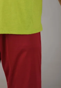 Jerry Leigh Scooby Doo Shaggy Costume For Boys 8 Jerry Leigh Scooby Doo Shaggy Costume For Boys -Cheap Anna Costumes Store boys scooby doo shaggy costume alt 3