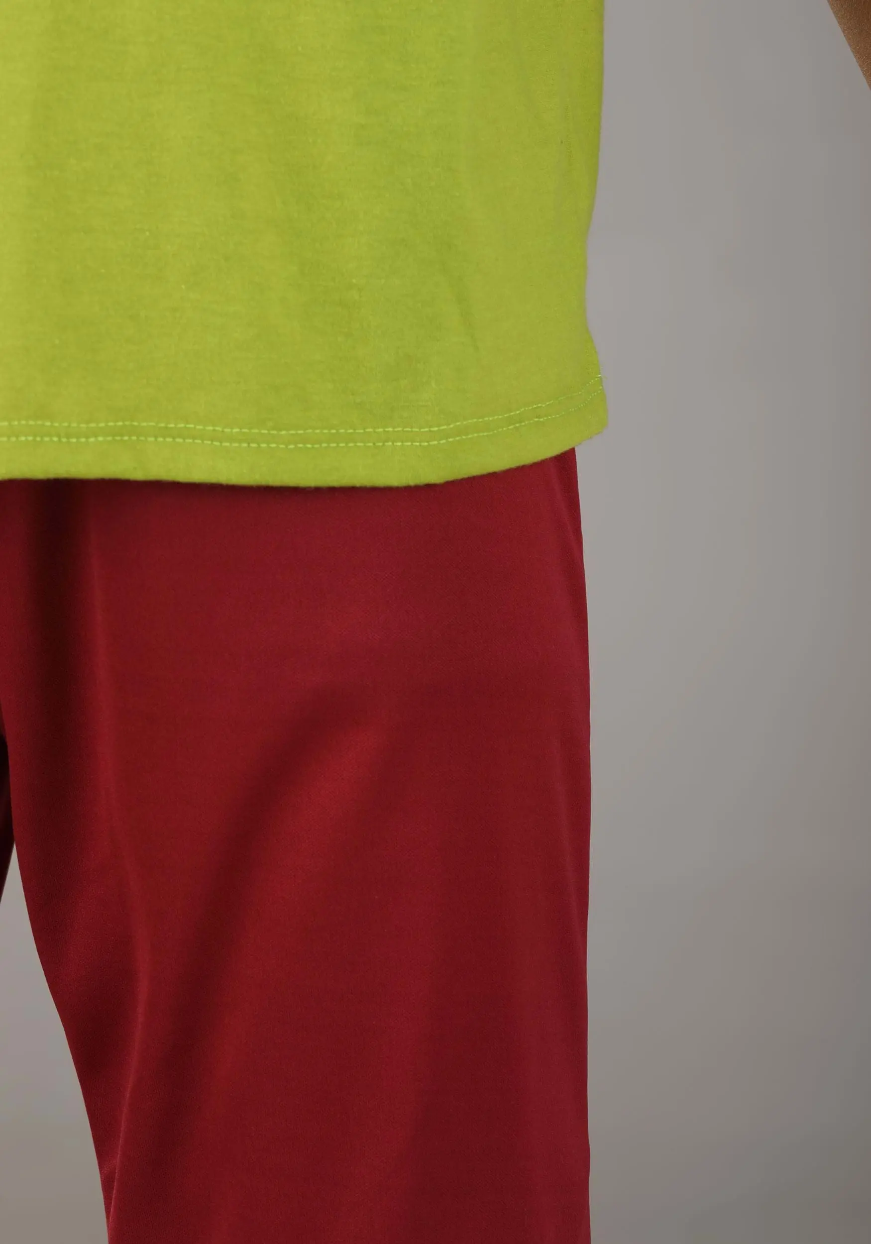 Jerry Leigh Scooby Doo Shaggy Costume For Boys 4 Jerry Leigh Scooby Doo Shaggy Costume For Boys - Image 4