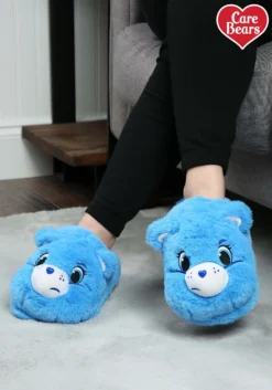 Shenzen Amilla Care Bears Grumpy Bear Adult Slippers