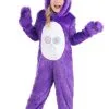 Fun Costumes Care Bears Classic Share Bear Toddler Costume