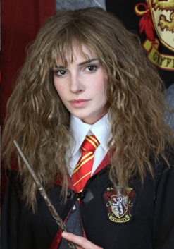 Jerry Leigh Deluxe Harry Potter Hermione Costume 22 Jerry Leigh Deluxe Harry Potter Hermione Costume -Cheap Anna Costumes Store deluxe harry potter hermione alt 10