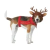 California Costume Collection Dog Reindeer Costume