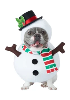 California Costume Collection Snowman Dog Costume