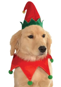 Rubies Costume Co. Inc Elf Costume Kit For Dogs