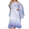 Disguise Deluxe Frozen Snow Queen Elsa Kids Costume