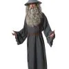 Rubies Costume Co. Inc Adult Gandalf Costume