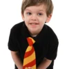 Elope Gryffindor Class Toddler Breakaway Tie