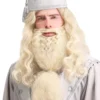 Partytime Costume & Lingerie (Yiwu) Factory Adult Headmaster Wizard Wig And Beard