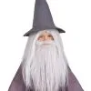 Rubies Costume Co. Inc Gandalf Beard And Wig Set For Kids