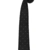 Elope Percival Graves' Costume Necktie