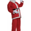 Forum Novelties, Inc Simply Santa Costume Plus Size