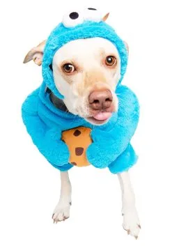 Pet Krewe Cookie Monster Sesame Street Pet Costume