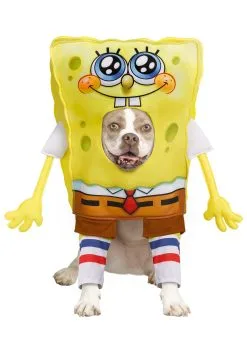 InSpirit SpongeBob SquarePants Pet Costume