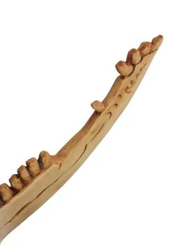 Neptune Trading The First Jawbone Blade 6 Neptune Trading The First Jawbone Blade -Cheap Anna Costumes Store the first jawbone blade3