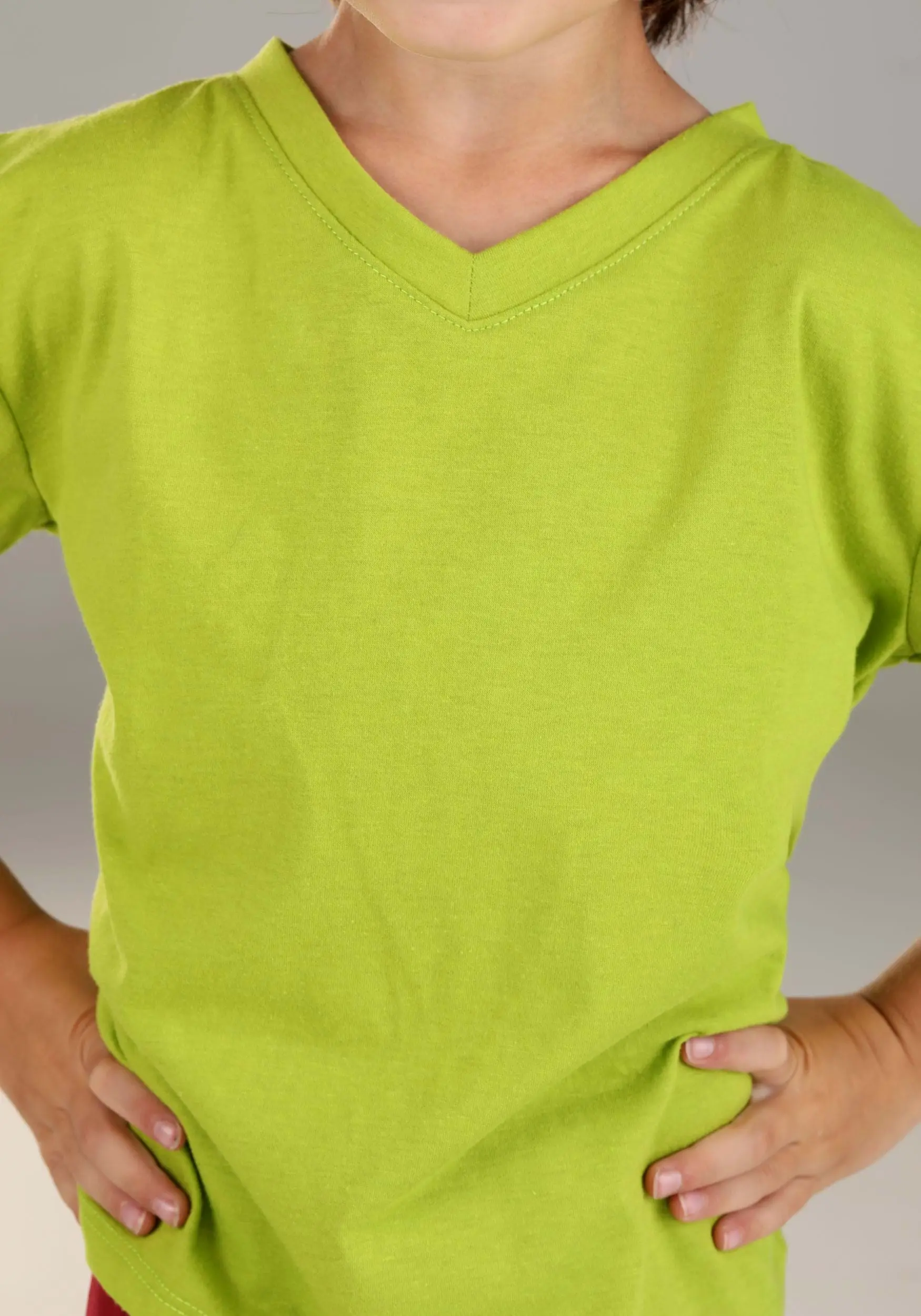 Jerry Leigh Scooby Doo Shaggy Costume For Toddlers 3 Jerry Leigh Scooby Doo Shaggy Costume For Toddlers - Image 3