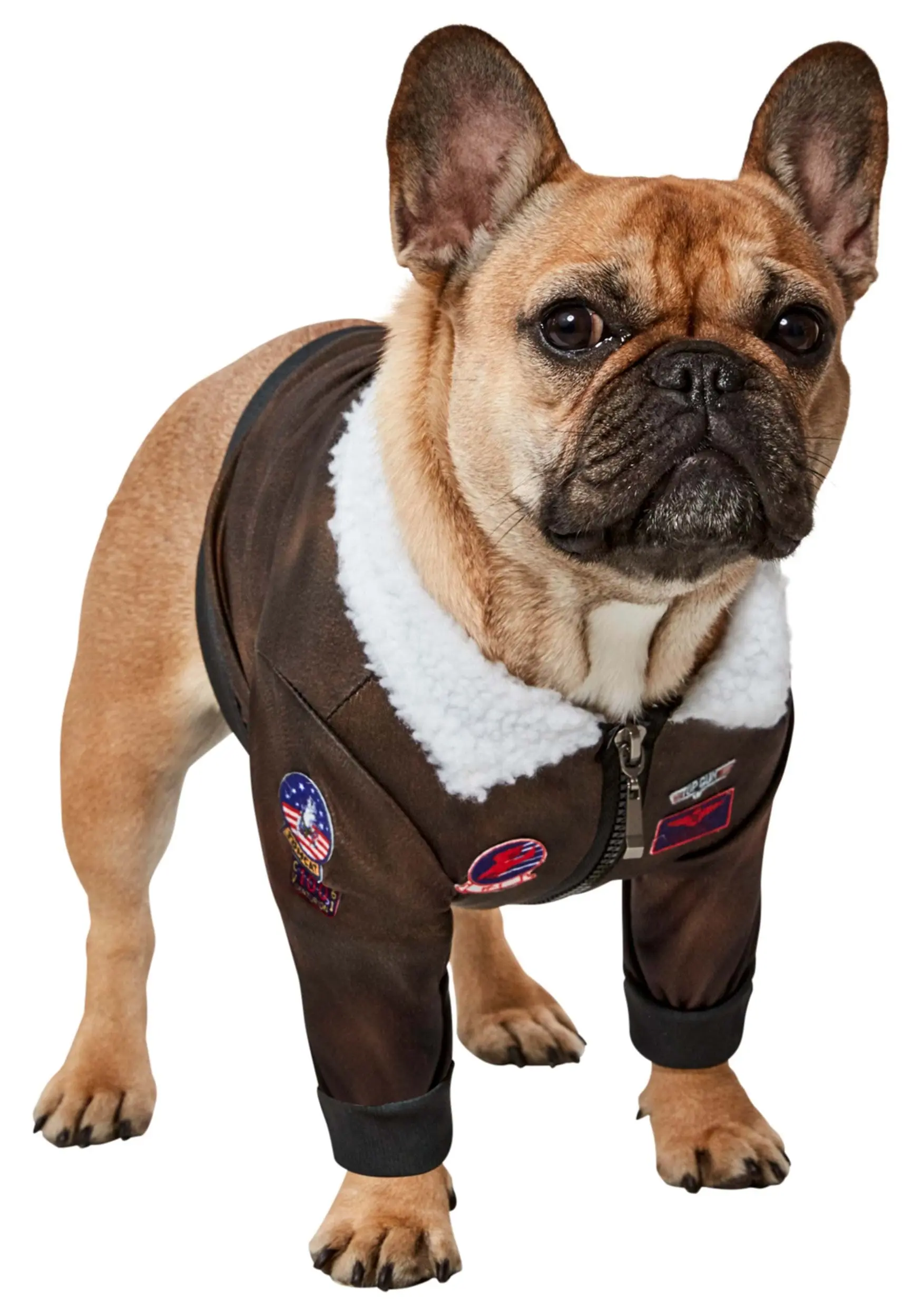 Rubies Costume Co. Inc Dog Costume Of Top Gun 2 Rubies Costume Co. Inc Dog Costume Of Top Gun - Image 2