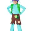 A Leading Role Trolls Boys Branch Premium Costume